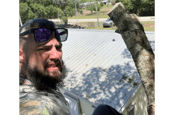 All American Trees and Maintenance