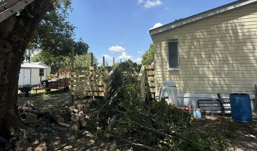 Tree Services