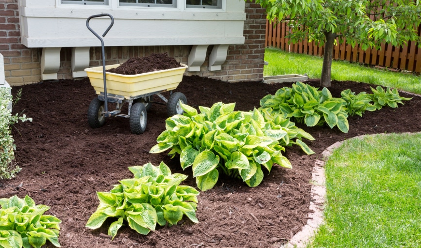 Landscaping